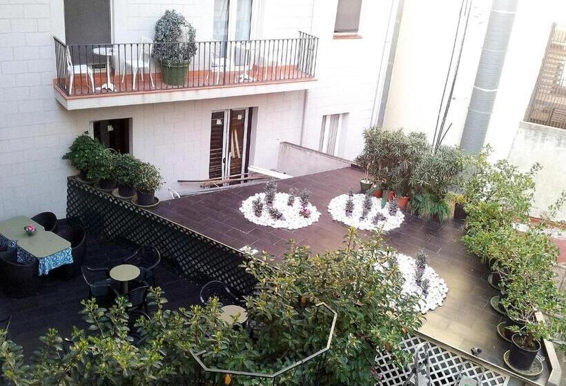 Номер Стандарт, Toledano Ramblas