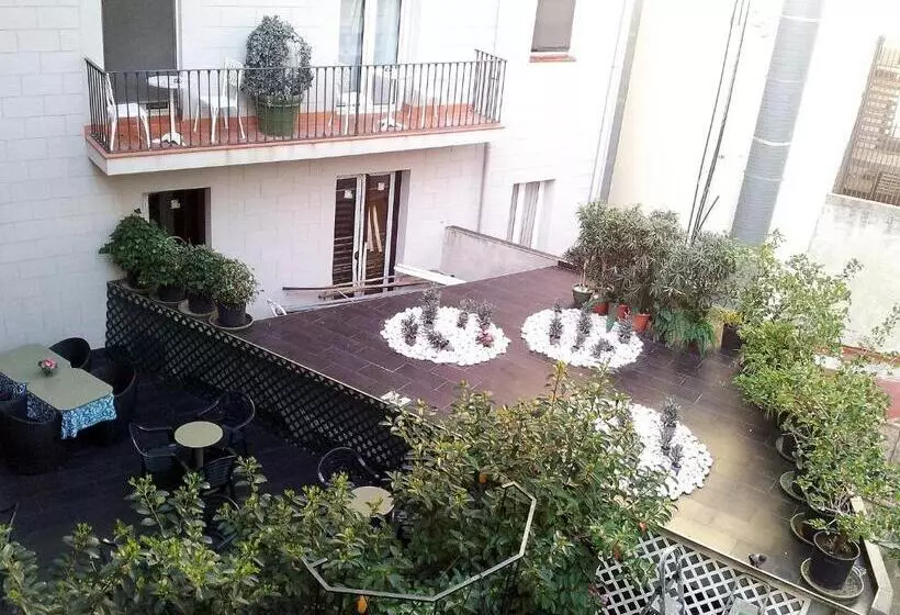 اتاق استاندارد, Toledano Ramblas