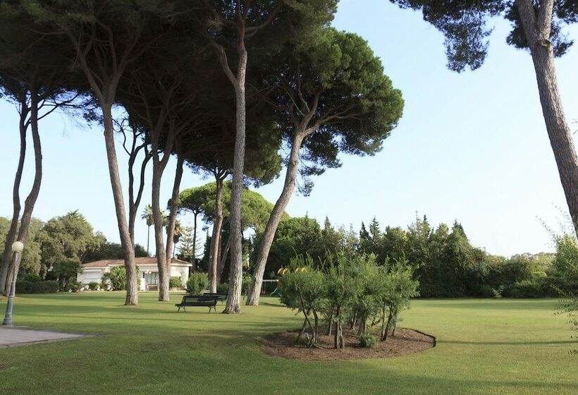 سوییت جونیور, AZZ Guadacorte - Campo de Gibraltar