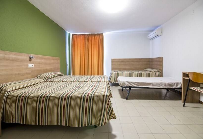 スタンダード４人部屋, Blason Junior