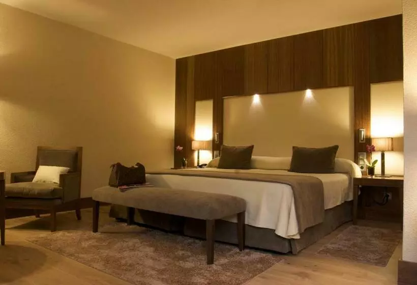 اتاق استاندارد, Gran Hotel Balneario De Puente Viesgo