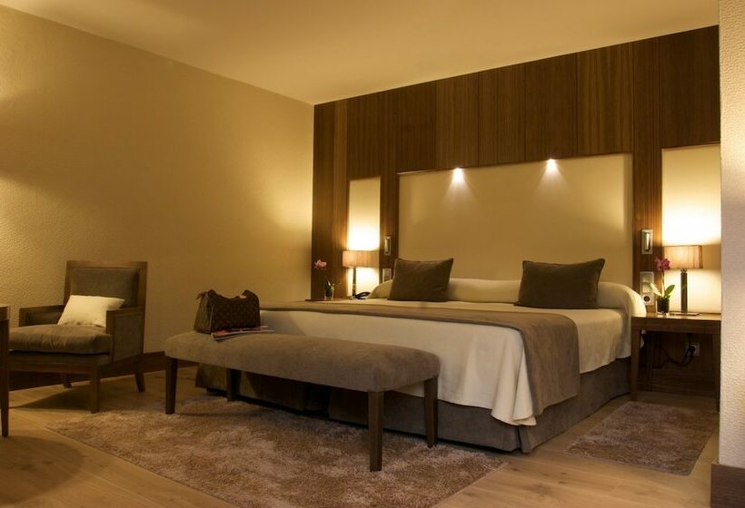 スタンダードシングルルーム, Gran Hotel Balneario De Puente Viesgo