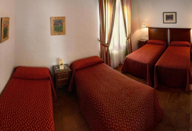 スタンダード４人部屋, Los Olivos