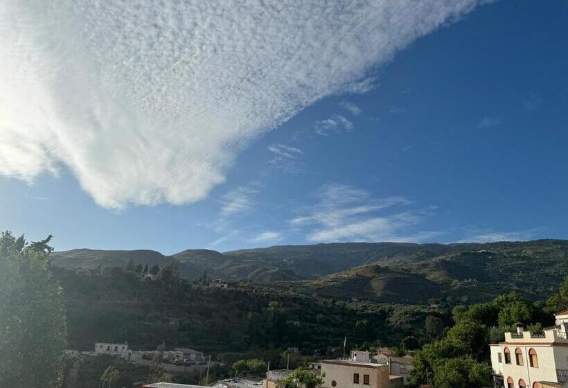 Номер Стандарт с Террасой, Mirasol