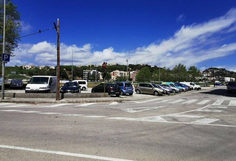 舒适型单人间, Petit Palau  Adults Only