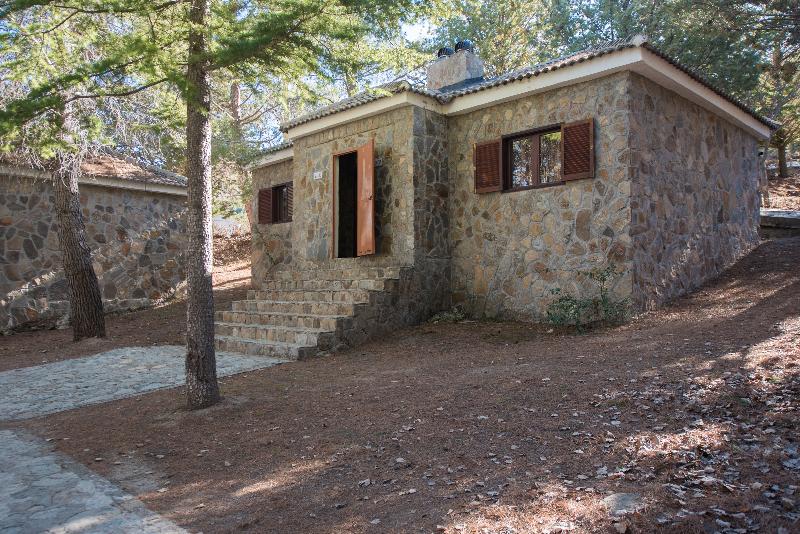 스탠다드 방갈로, Santa Cruz