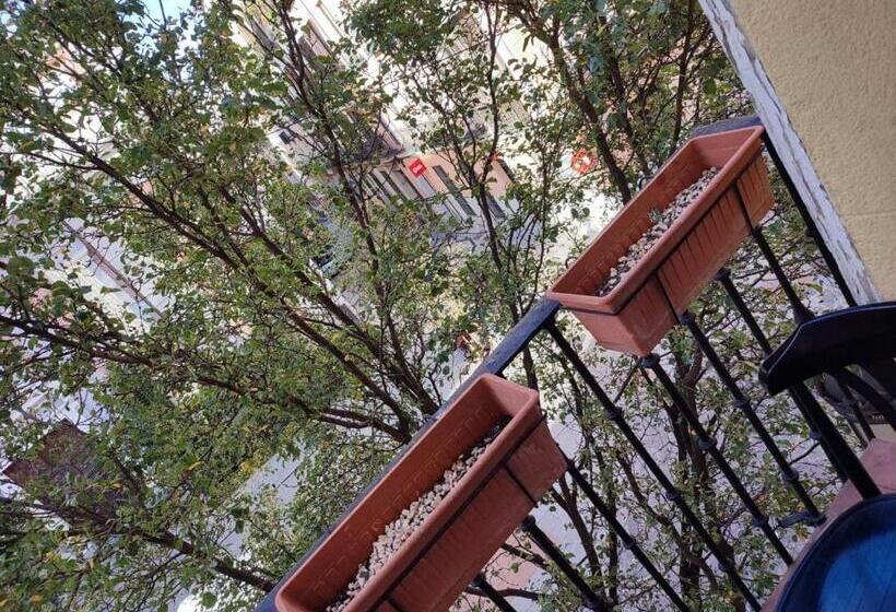 اتاق استاندارد با بالکن, Arta