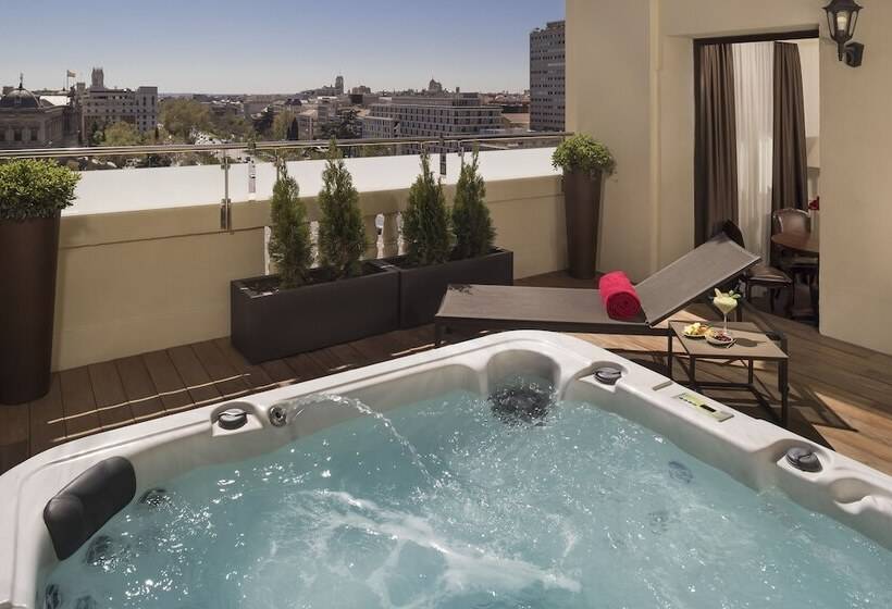 سوئیت پنت هاوس, Fenix Gran Meliá The Leading Hotels Of The World