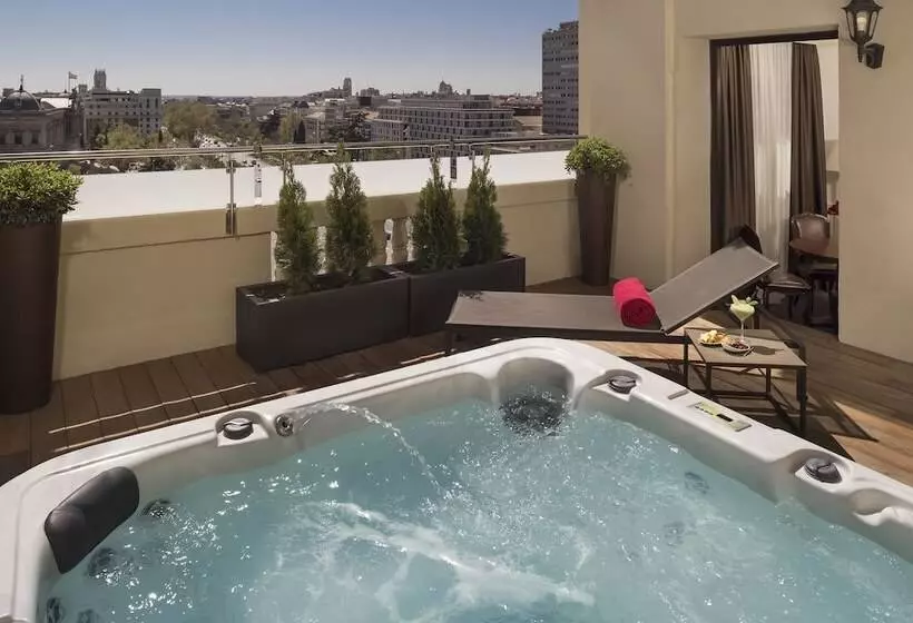 سوئیت پنت هاوس, Fenix Gran Meliá   The Leading Hotels Of The World