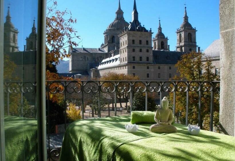 اتاق سوپریور, Florida