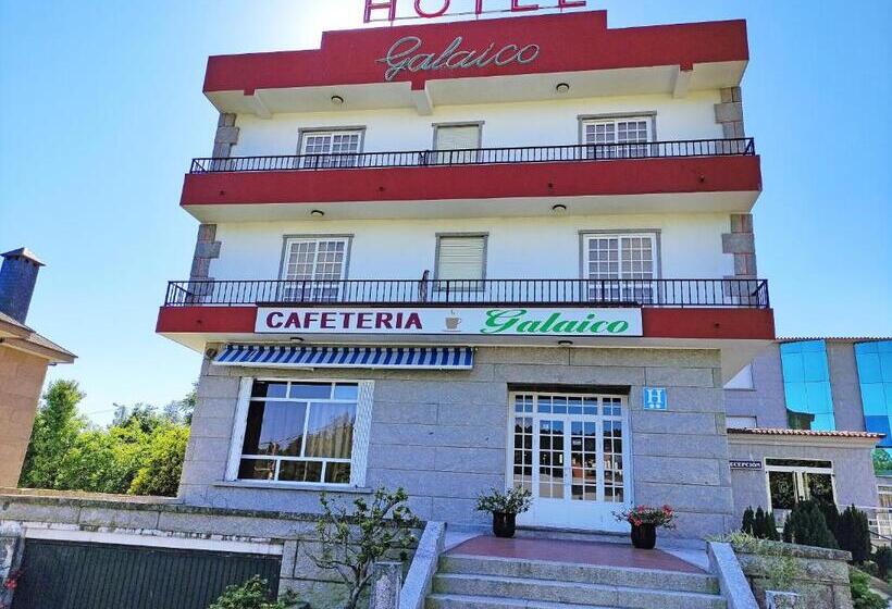 スタンダードルーム, Galaico Sanxenxo