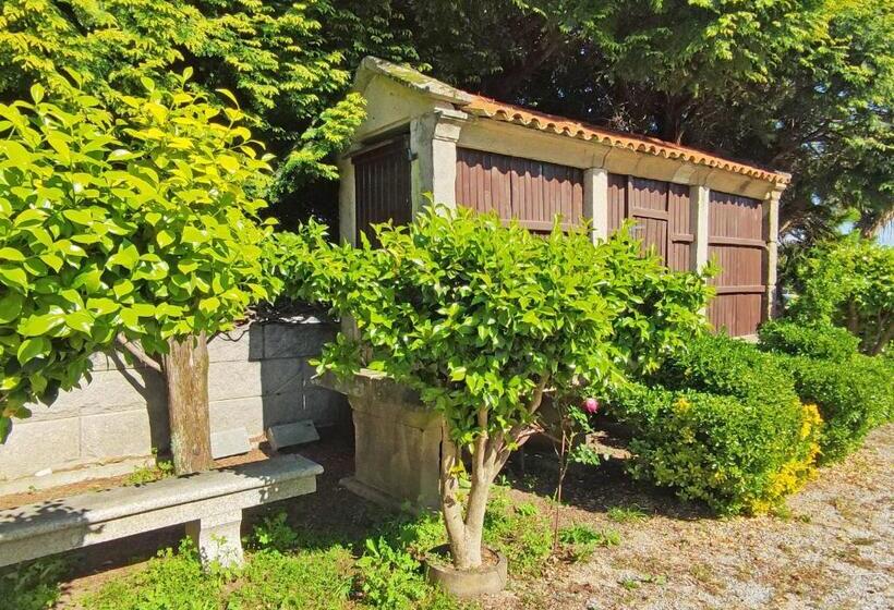 スタンダードルーム, Galaico Sanxenxo