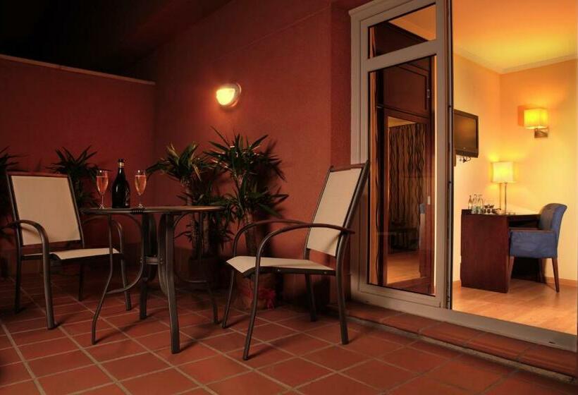 اتاق استاندارد با تراس, Porcel Ganivet