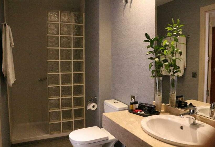 اتاق استاندارد, Puerta De Toledo