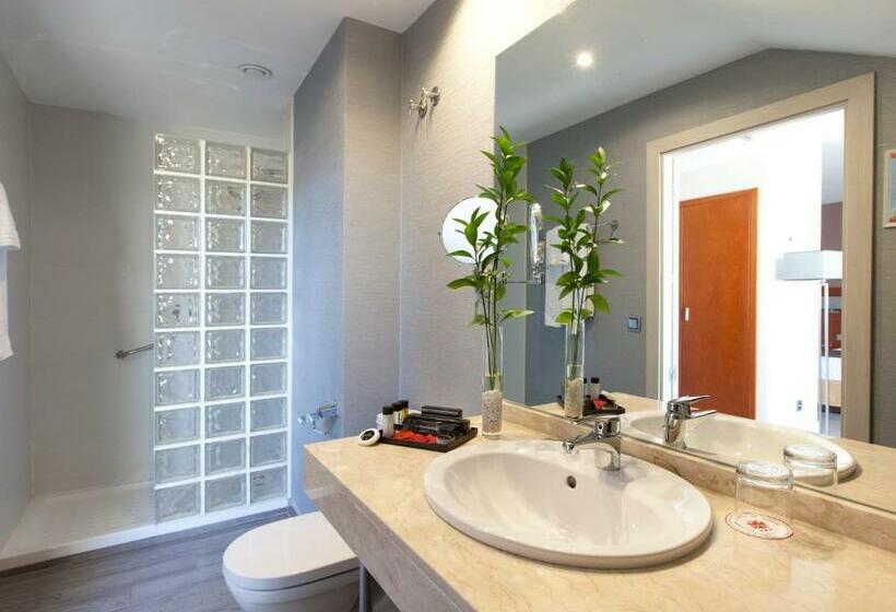 اتاق استاندارد, Puerta De Toledo