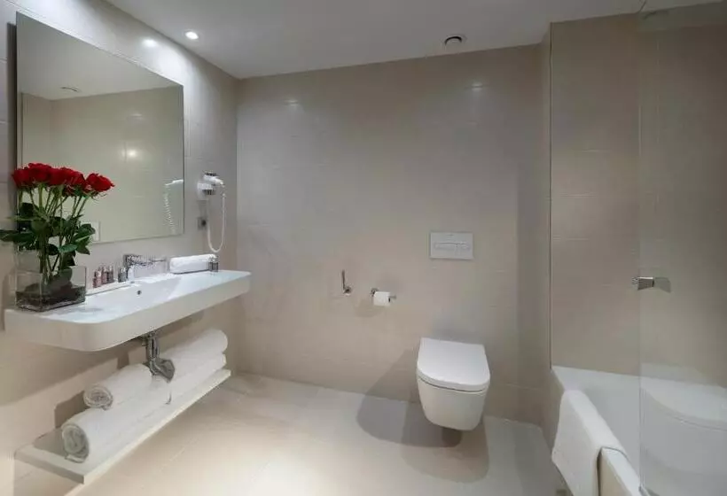 اتاق لوکس یک تخته, Barcelo Bilbao Nervion