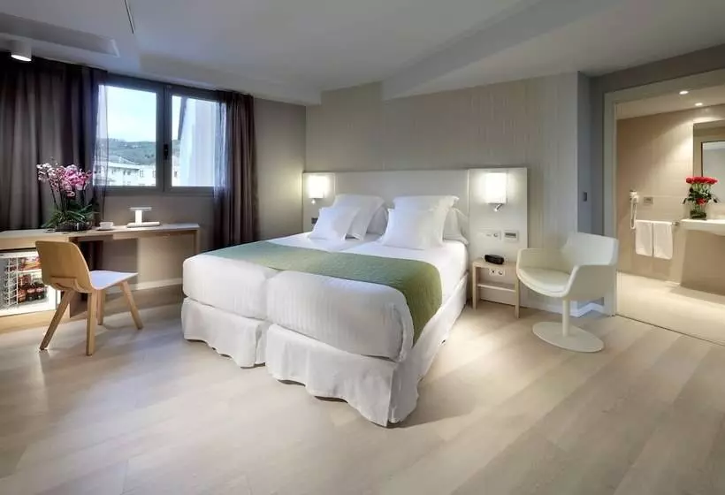 اتاق سوپریور, Barcelo Bilbao Nervion