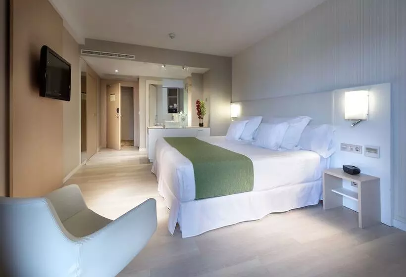 اتاق سوپریور, Barcelo Bilbao Nervion