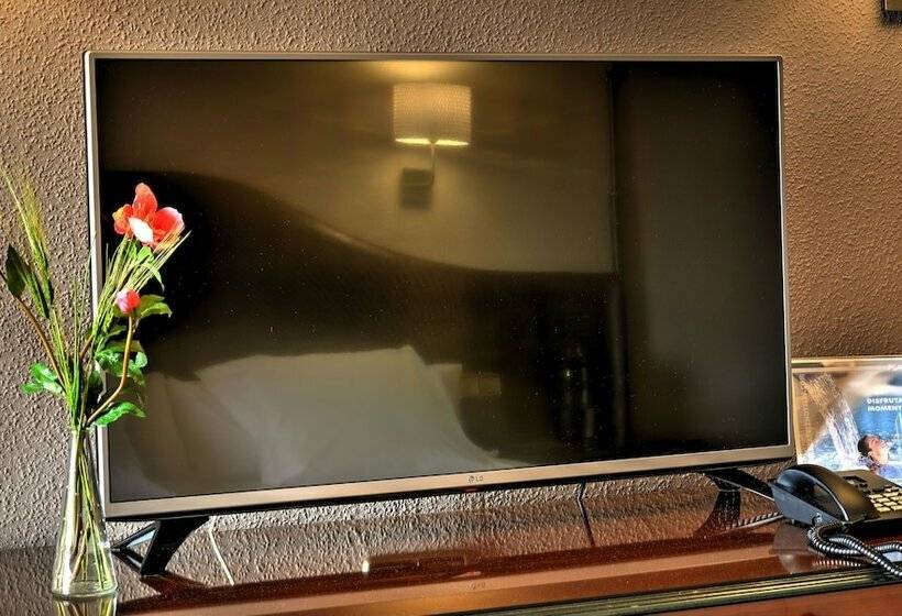 四人豪华间, Beatriz Toledo Auditorium & Spa