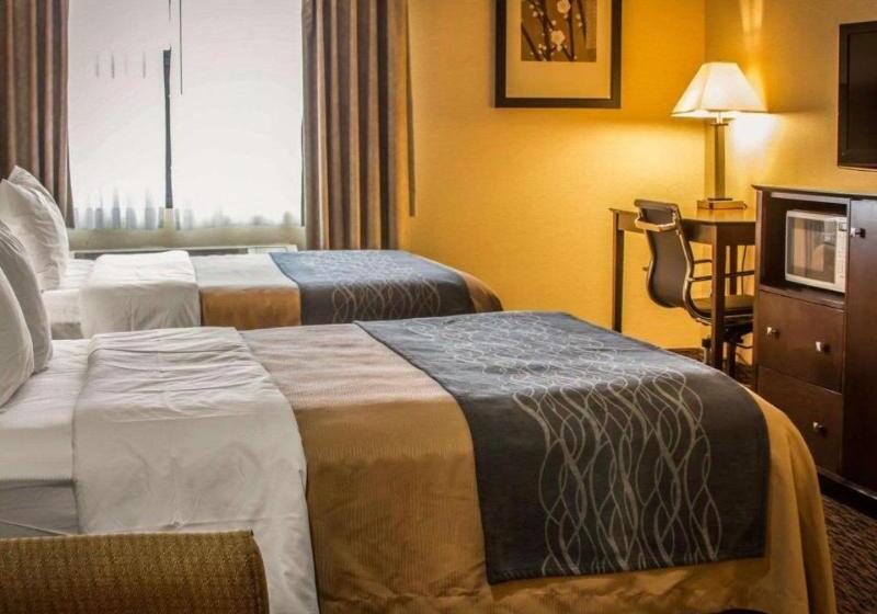 带城市景观的标准间, Beatriz Toledo Auditorium & Spa