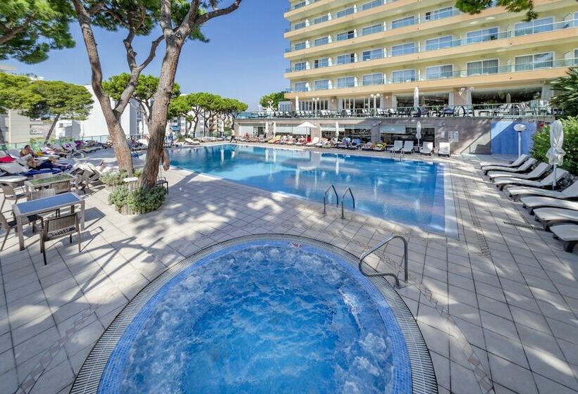 اتاق استاندارد با چشم‌انداز استخر, Las Vegas