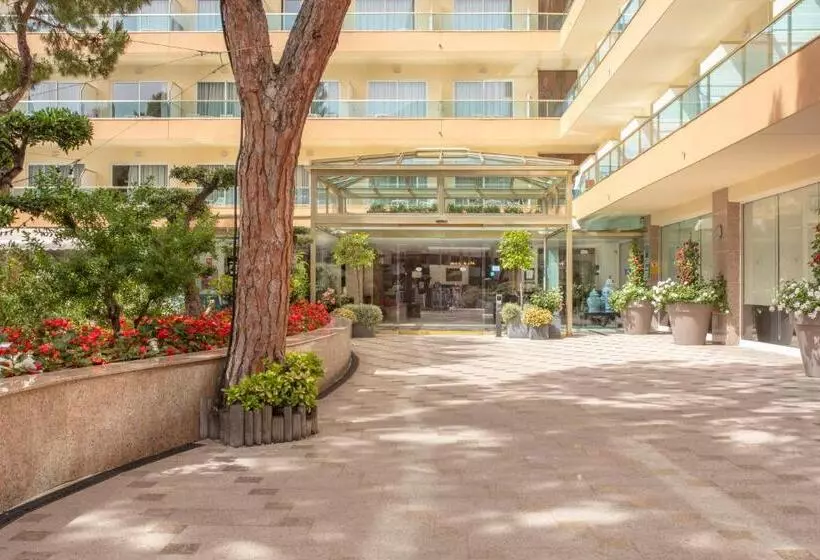 اتاق اکونومی, Las Vegas