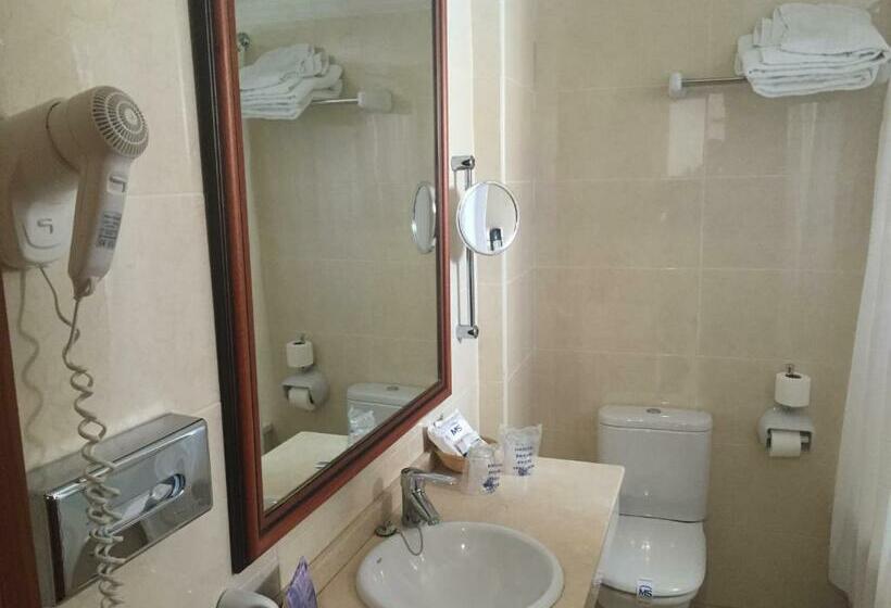 エコノミールーム, Ms Tropicana