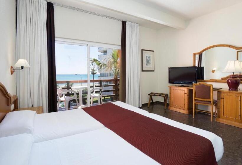 オーシャンビュースタンダードルーム, Ms Tropicana