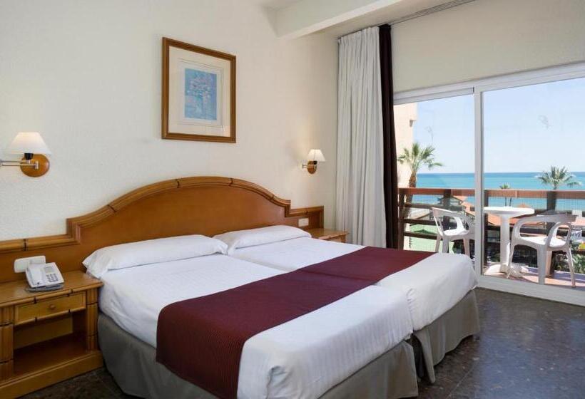 オーシャンビュースタンダードルーム, Ms Tropicana