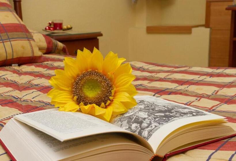 اتاق استاندارد, Hostal Siete Picos