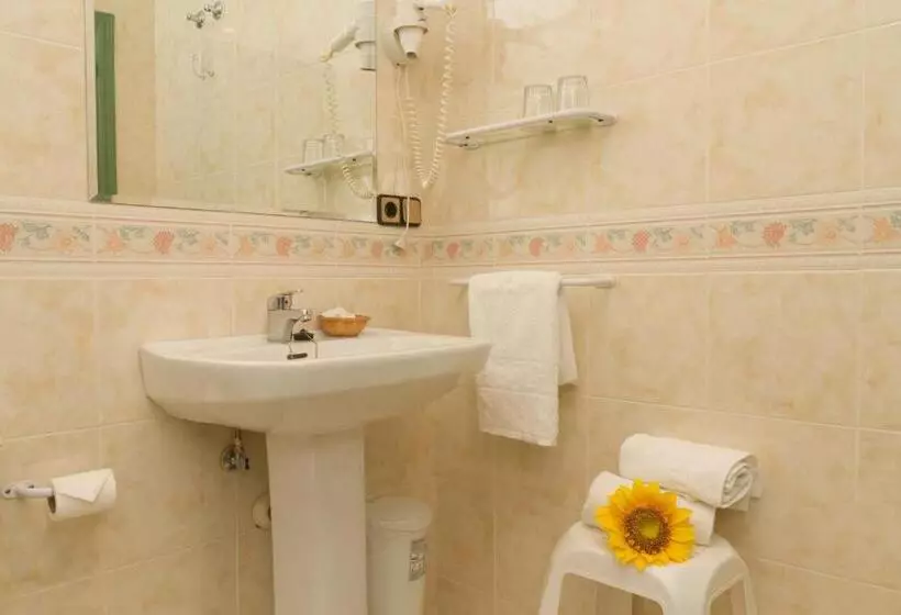 スタンダードシングルルーム, Hostal Siete Picos