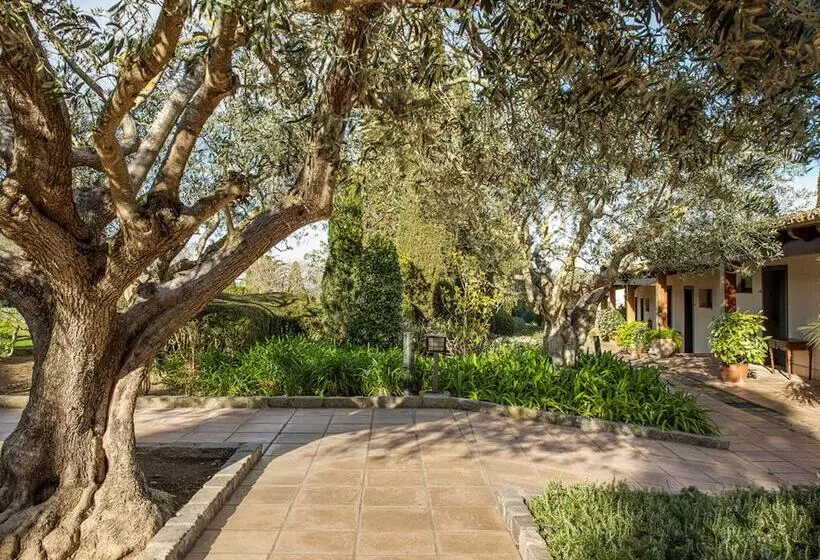 سوییت, Mas De Torrent Hotel & Spa, Relais & Châteaux