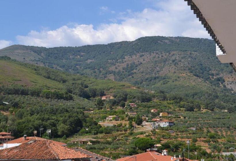 Номер Стандарт, Hostal Vadillo