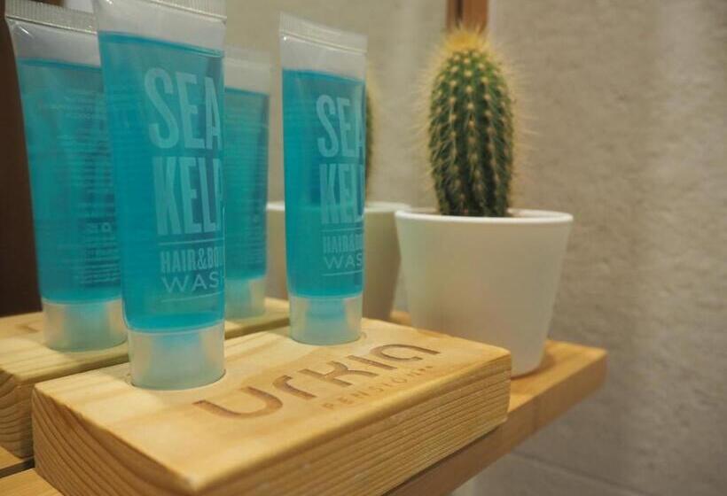 标准单人间, Pension Urkia