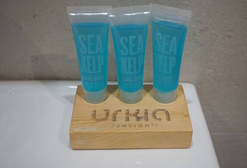 标准单人间, Pension Urkia