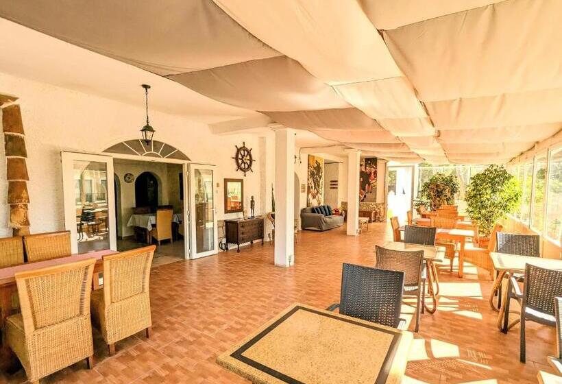 اتاق اکونومی, Don Carlos