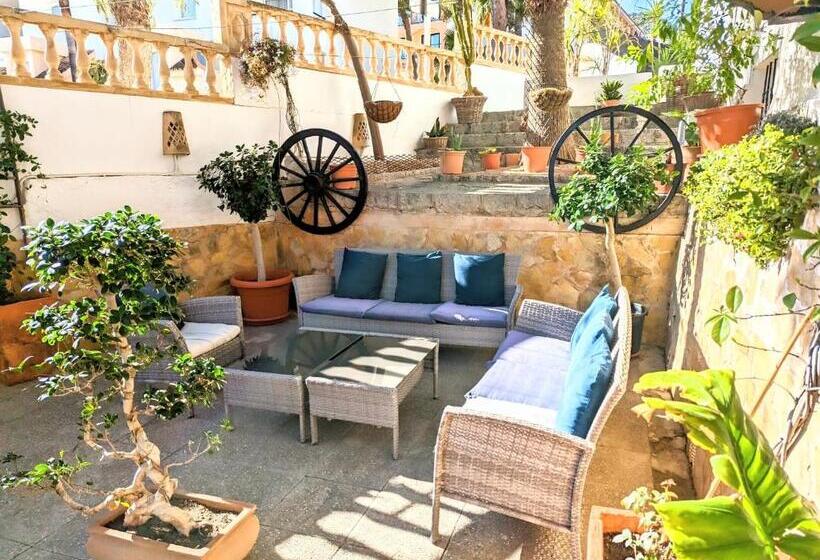 اتاق اکونومی, Don Carlos