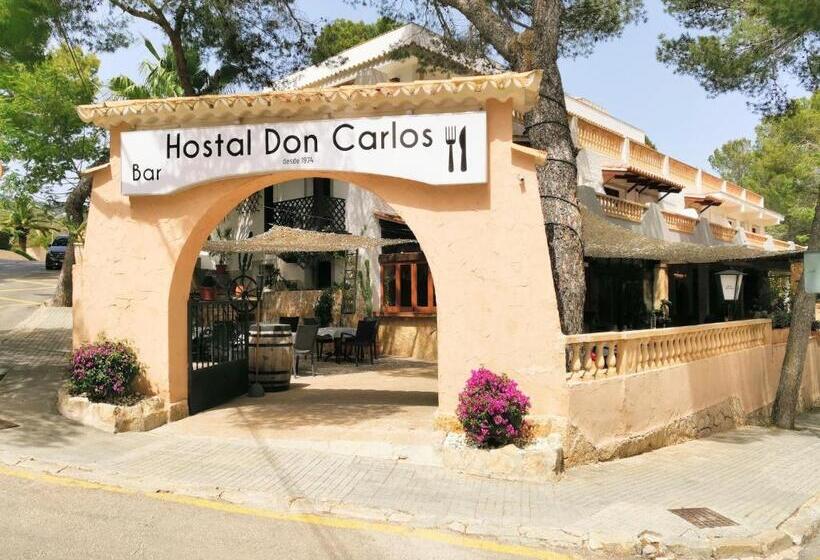 اتاق اکونومی, Don Carlos