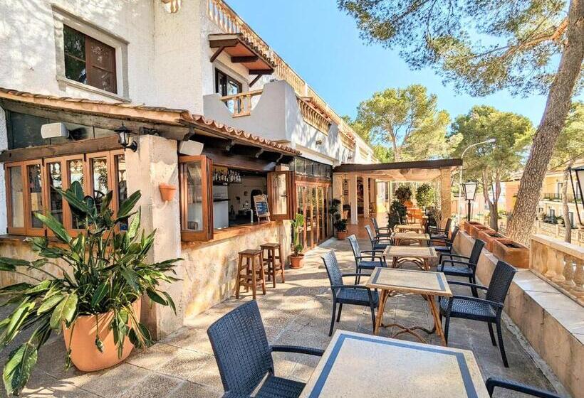 اتاق استاندارد یک نفره, Don Carlos