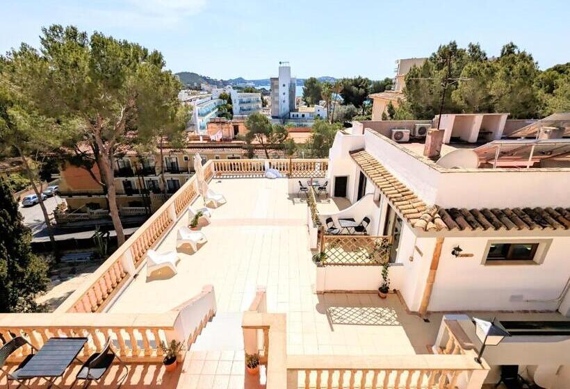 اتاق استاندارد, Don Carlos