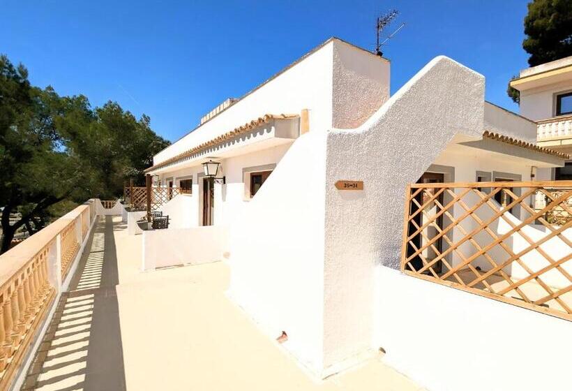 اتاق استاندارد, Don Carlos