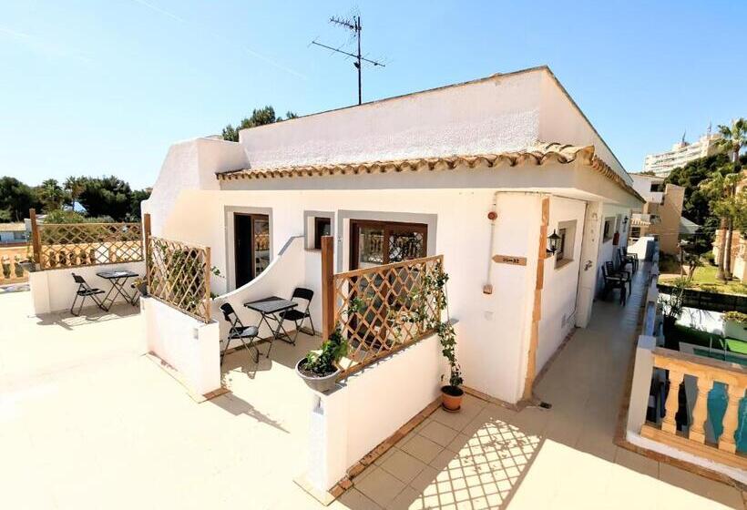 اتاق استاندارد, Don Carlos