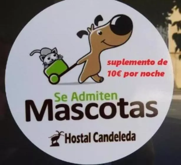 Cameră Standard Individuală, Hostal Candeleda