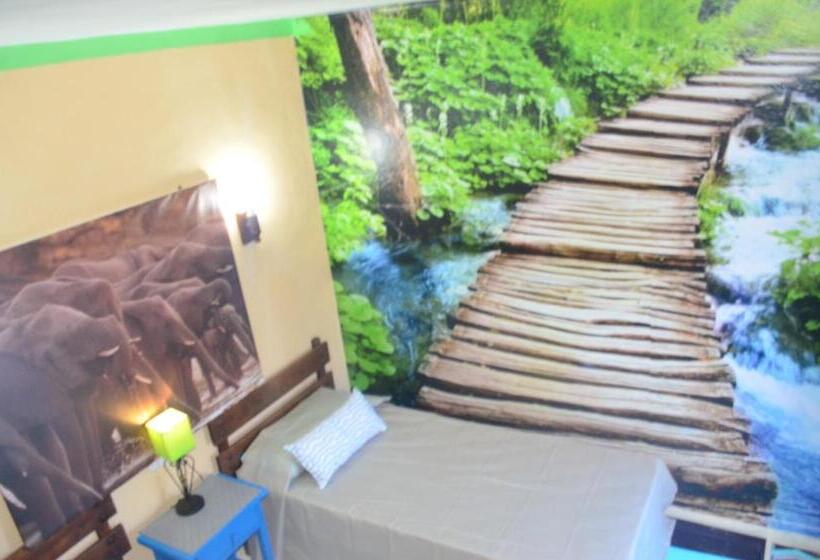 اتاق خانوادگی, Residencia Santiago Mallorca