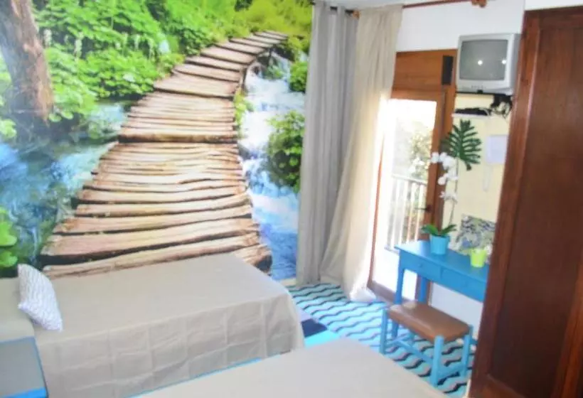 اتاق استاندارد یک نفره, Residencia Santiago Mallorca