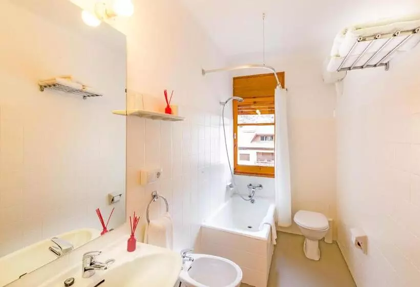 اتاق استاندارد با دسترسی به اسپا, Hotel Apartamentos Trainera