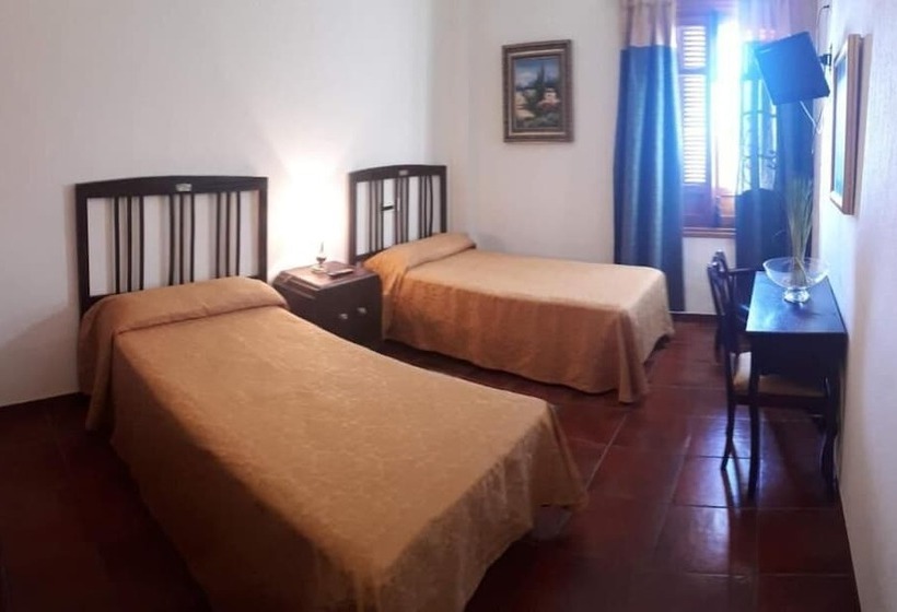 Номер Стандарт, Escua