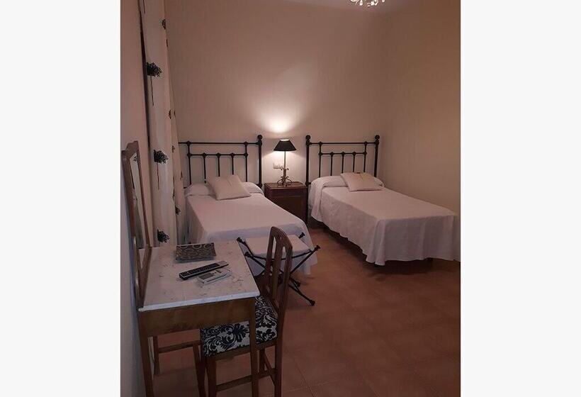 Номер Стандарт, Escua