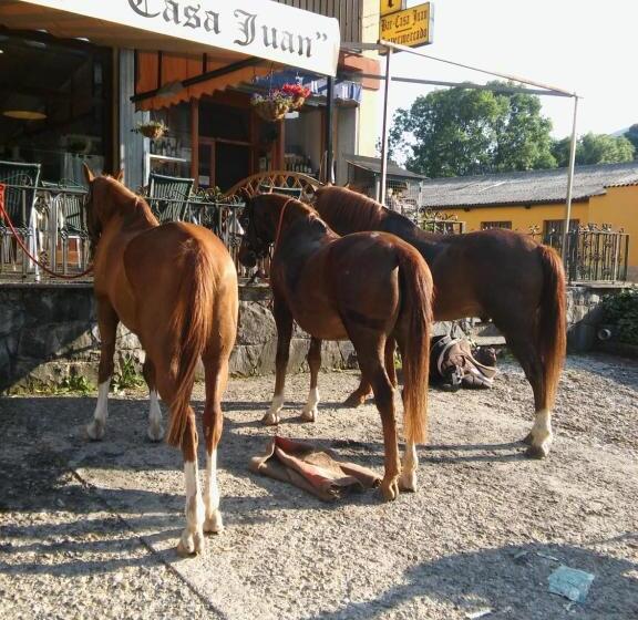 Номер Стандарт, Hostal Casa Juan