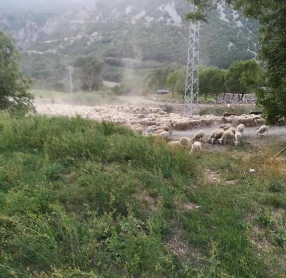 اتاق استاندارد, Hostal Casa Juan